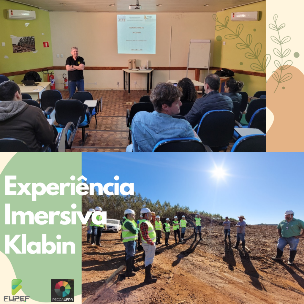 Turma do MBA em Gestão Florestal vive experiência imersiva na Klabin
